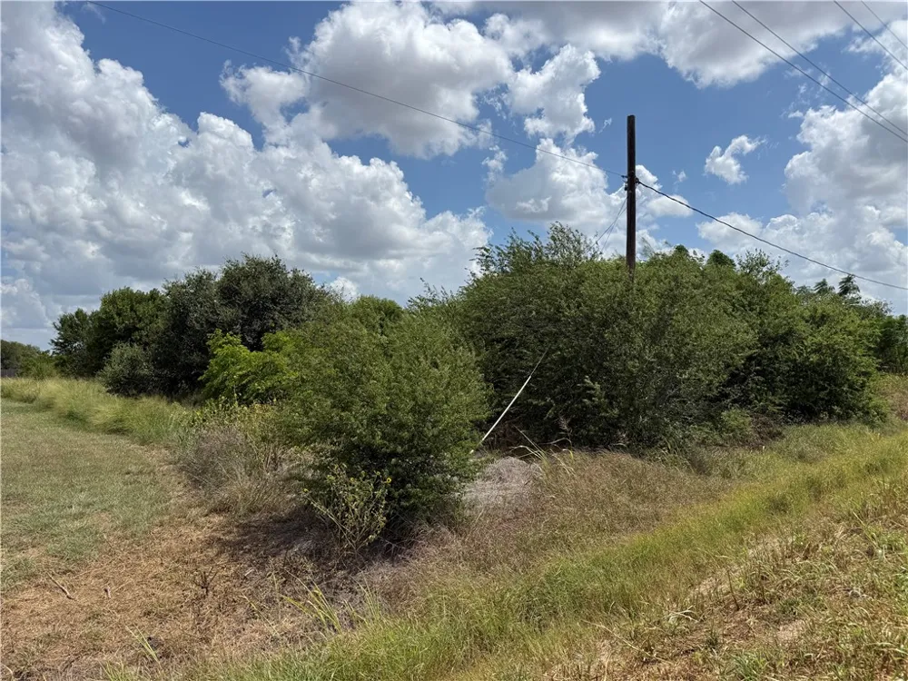 5354 County Road 40 Robstown, TX 78380