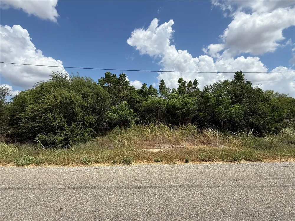 5354 County Road 40 Robstown, TX 78380