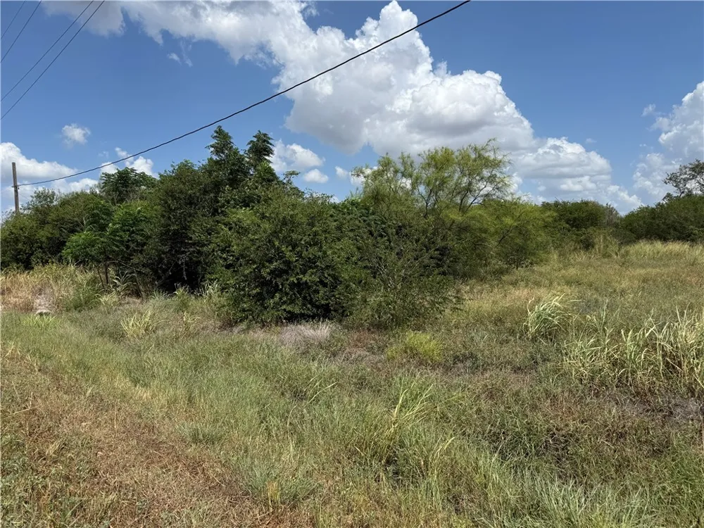 5354 County Road 40 Robstown, TX 78380
