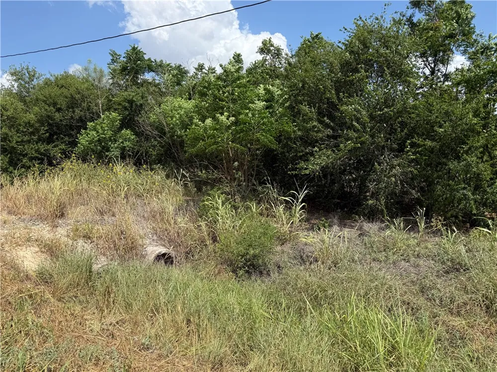 5354 County Road 40 Robstown, TX 78380