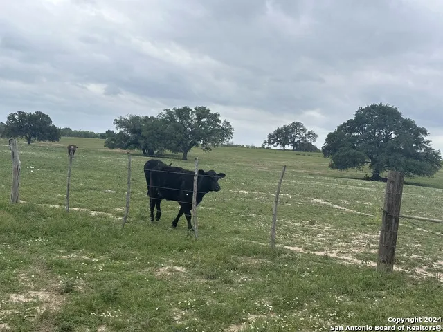 TBD (TR 5) W Gates Valley Rd Poteet, TX 78065