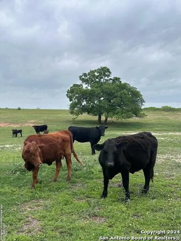 TBD (TR 4) W Gates Valley RD Poteet, TX 78065