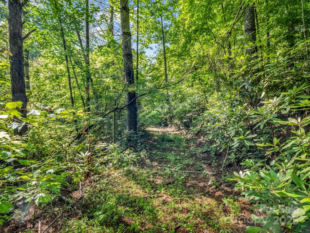 TBD Climbing Road Hendersonville, NC 28792