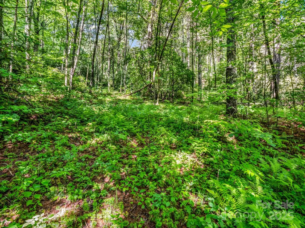 TBD Climbing Road Hendersonville, NC 28792