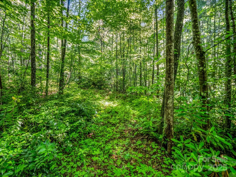 TBD Climbing Road Hendersonville, NC 28792