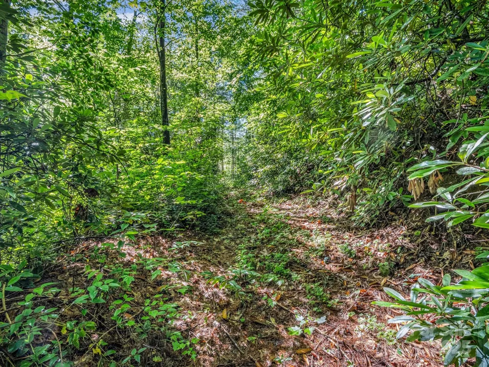 TBD Climbing Road Hendersonville, NC 28792