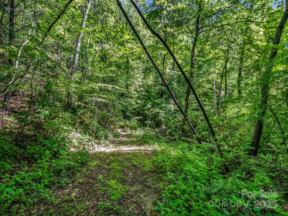 TBD Climbing Road Hendersonville, NC 28792