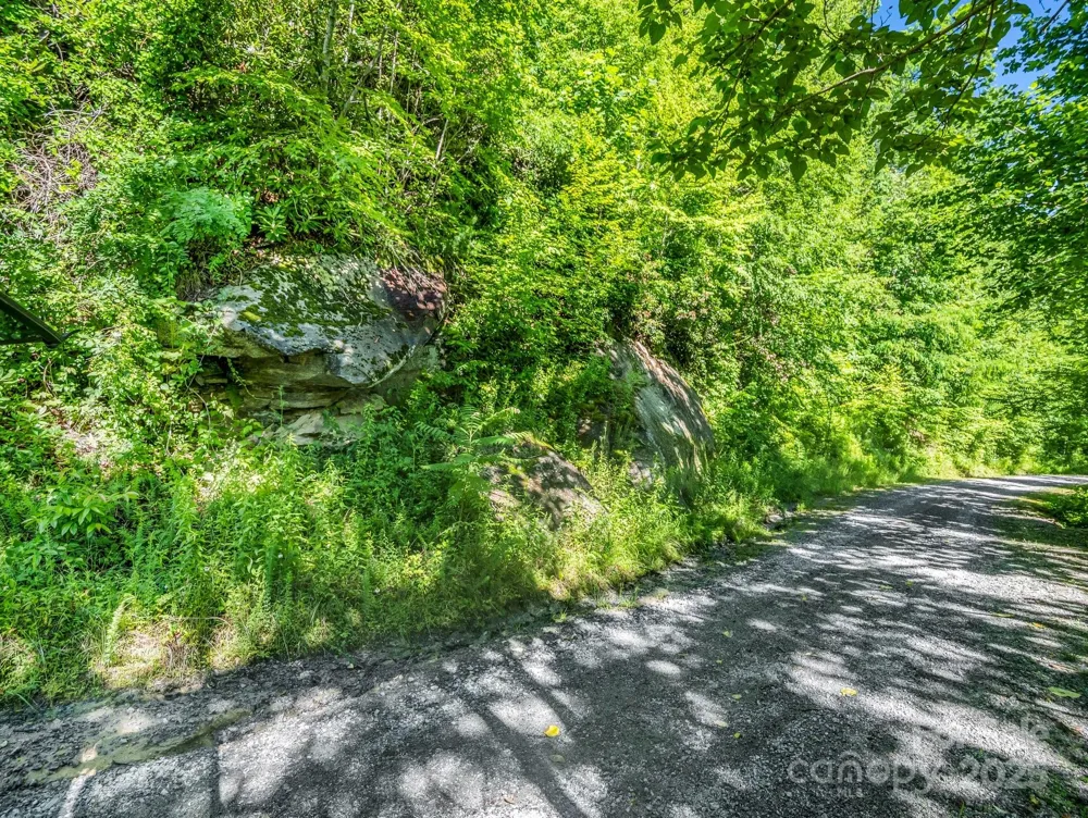 TBD Climbing Road Hendersonville, NC 28792