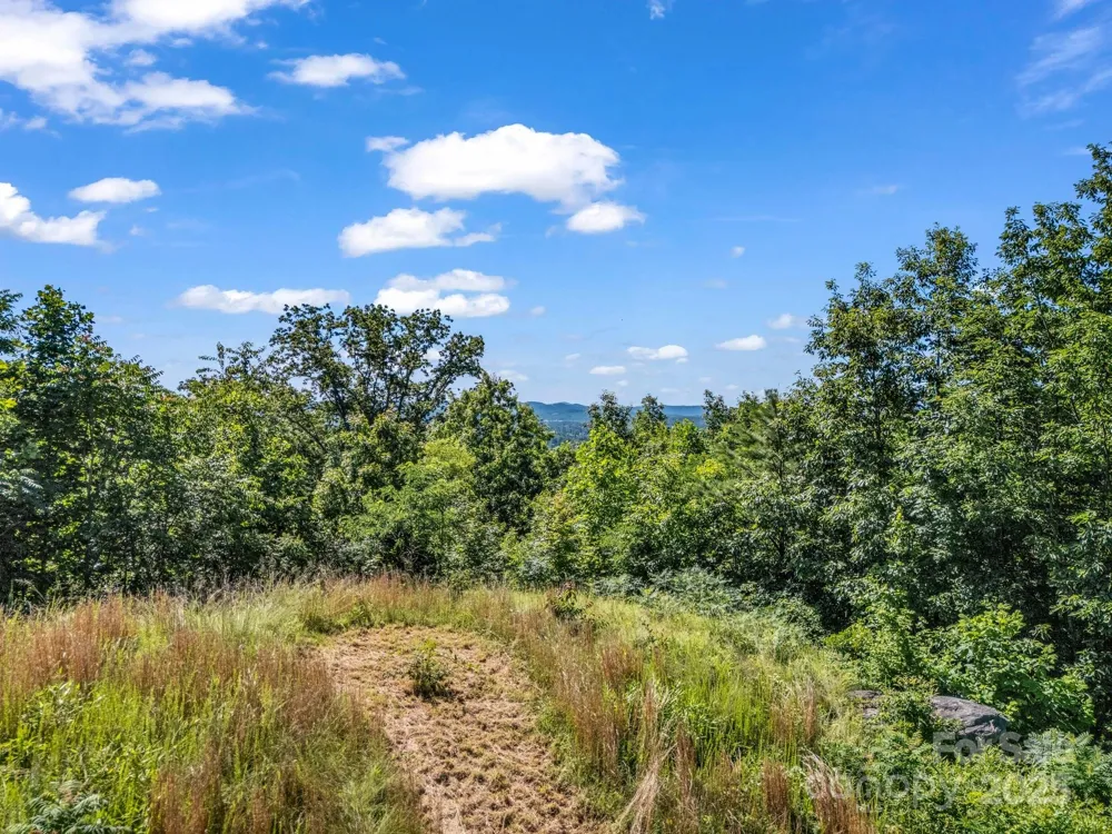 TBD Climbing Road Hendersonville, NC 28792