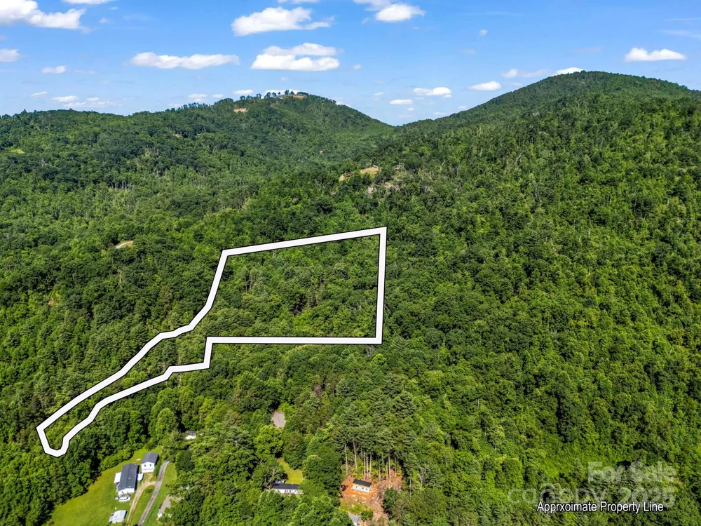 TBD Climbing Road Hendersonville, NC 28792