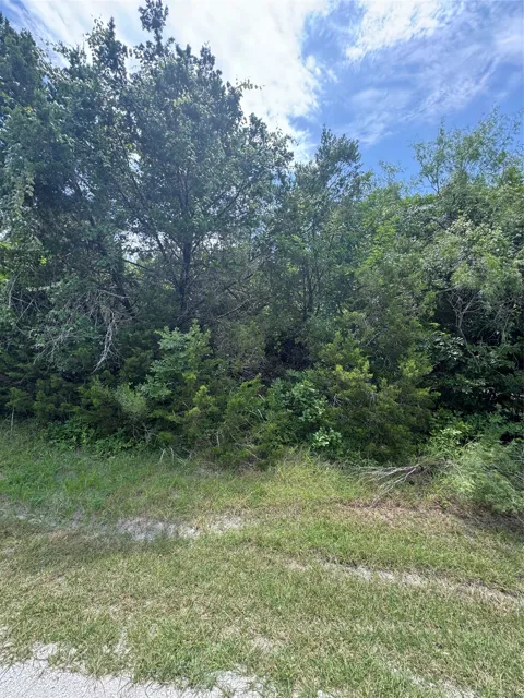 12208 Rolling Oaks Drive