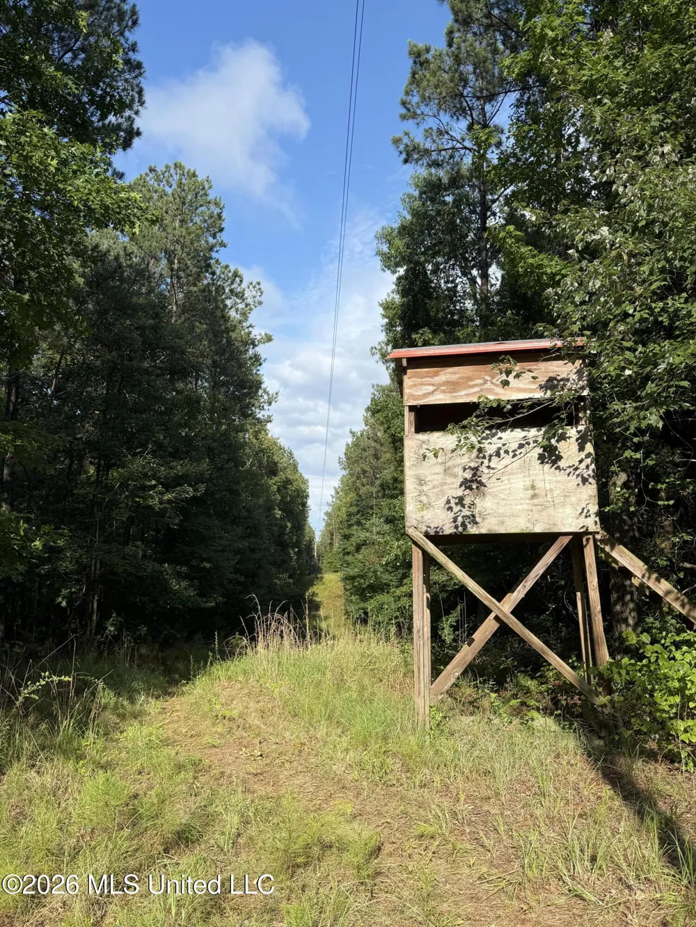 Co Rd 2136 McCool, MS 39108