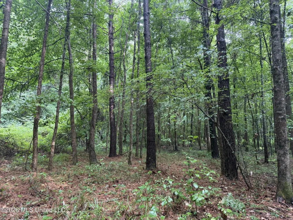 Co Rd 2136 McCool, MS 39108