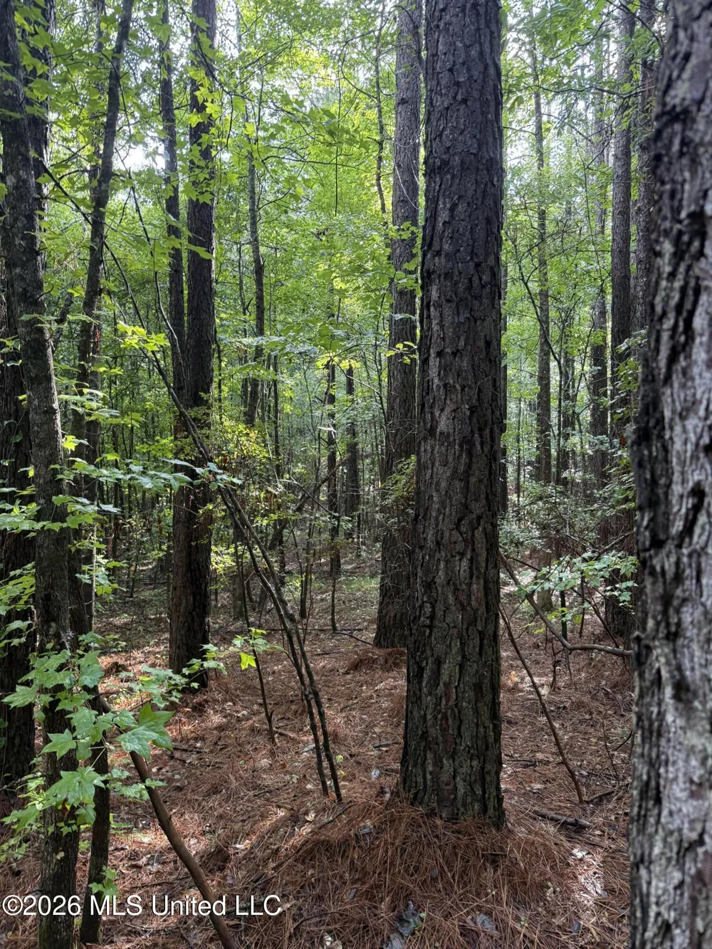 Co Rd 2136 McCool, MS 39108