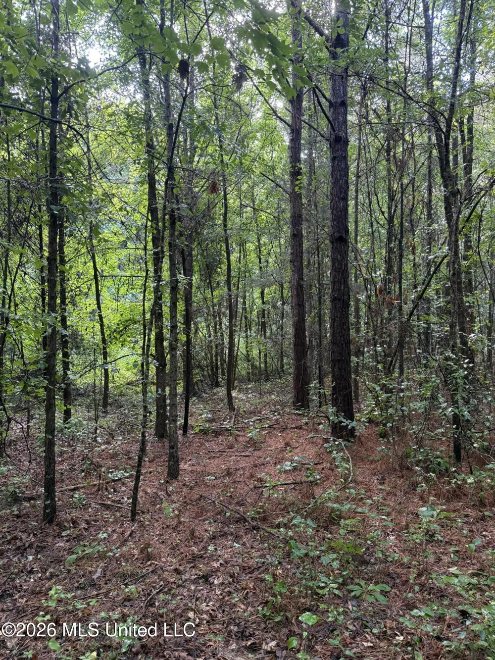 Co Rd 2136 McCool, MS 39108