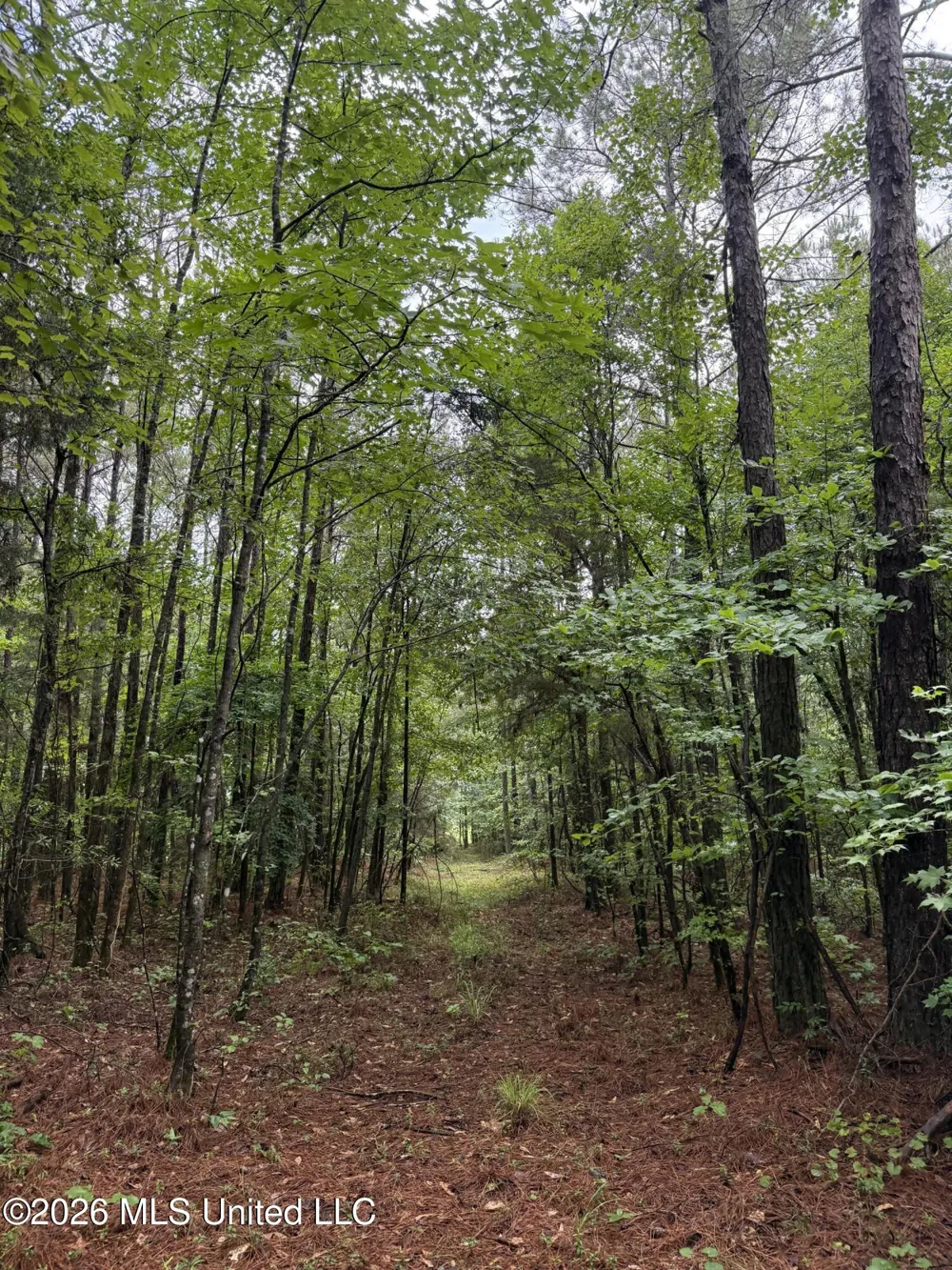 Co Rd 2136 McCool, MS 39108