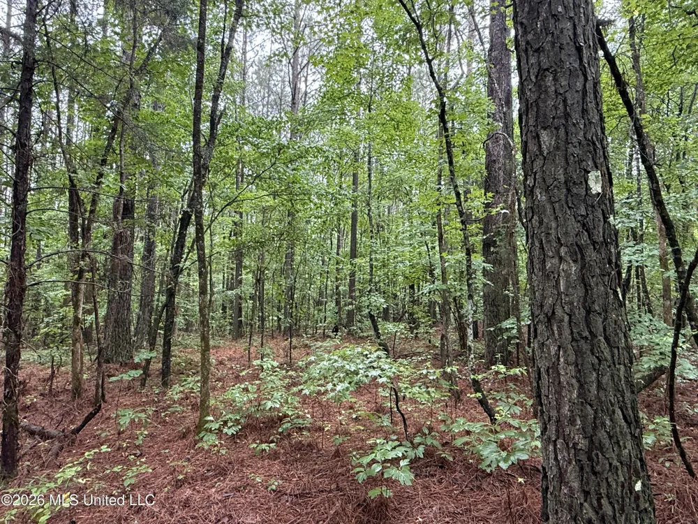 Co Rd 2136 McCool, MS 39108