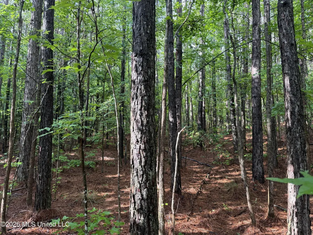 Co Rd 2136 McCool, MS 39108