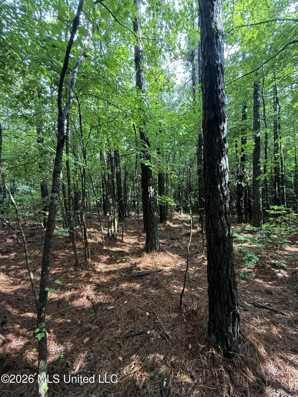 Co Rd 2136 McCool, MS 39108