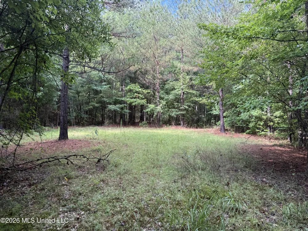 Co Rd 2136 McCool, MS 39108