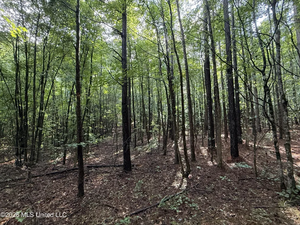 Co Rd 2136 McCool, MS 39108
