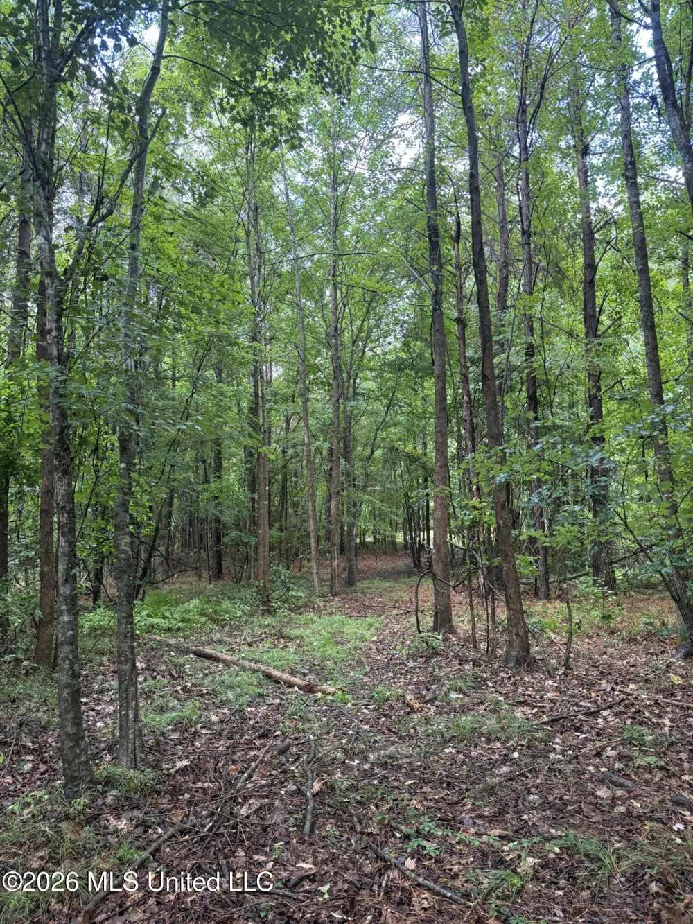 Co Rd 2136 McCool, MS 39108