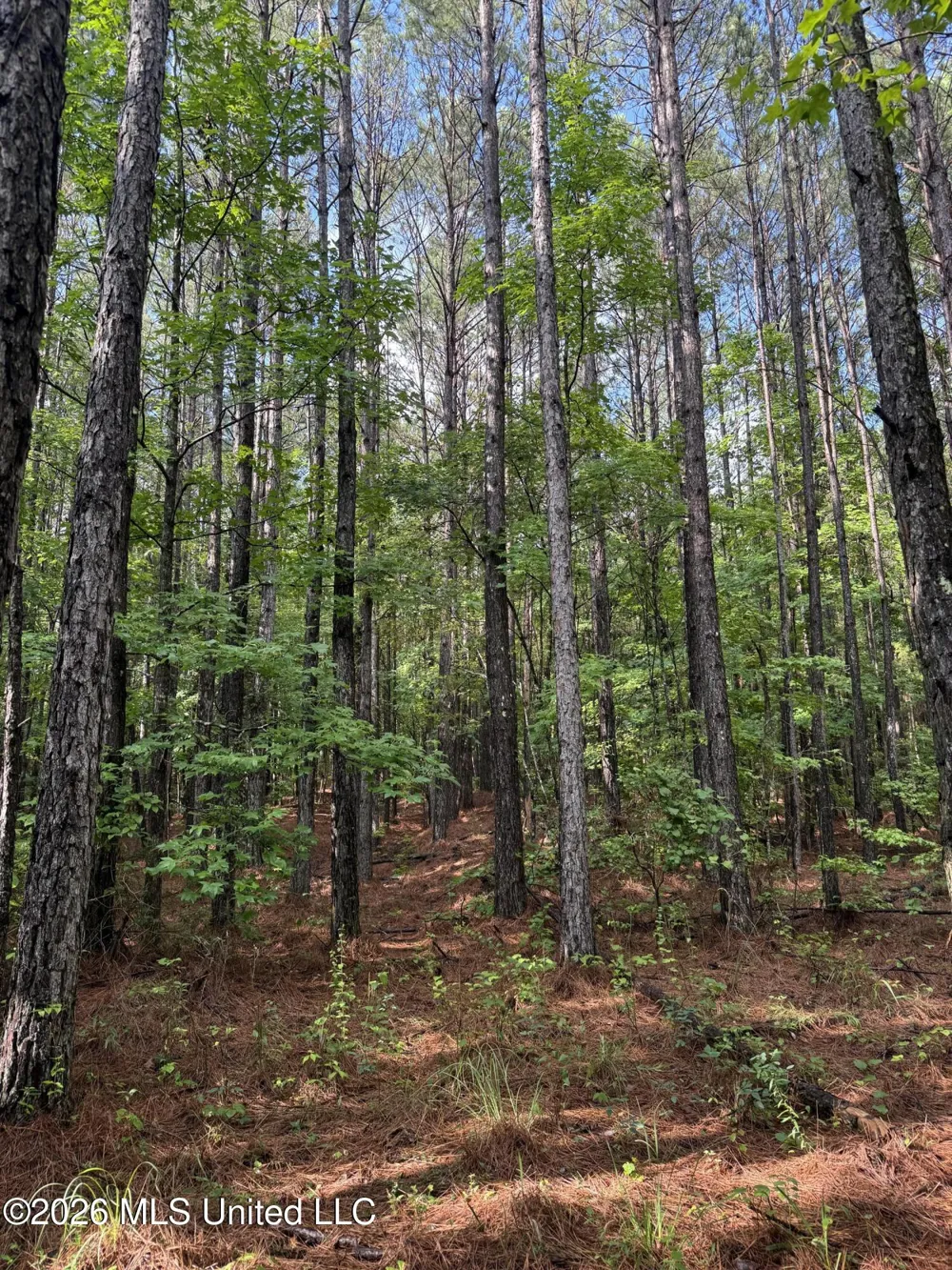 Co Rd 2136 McCool, MS 39108