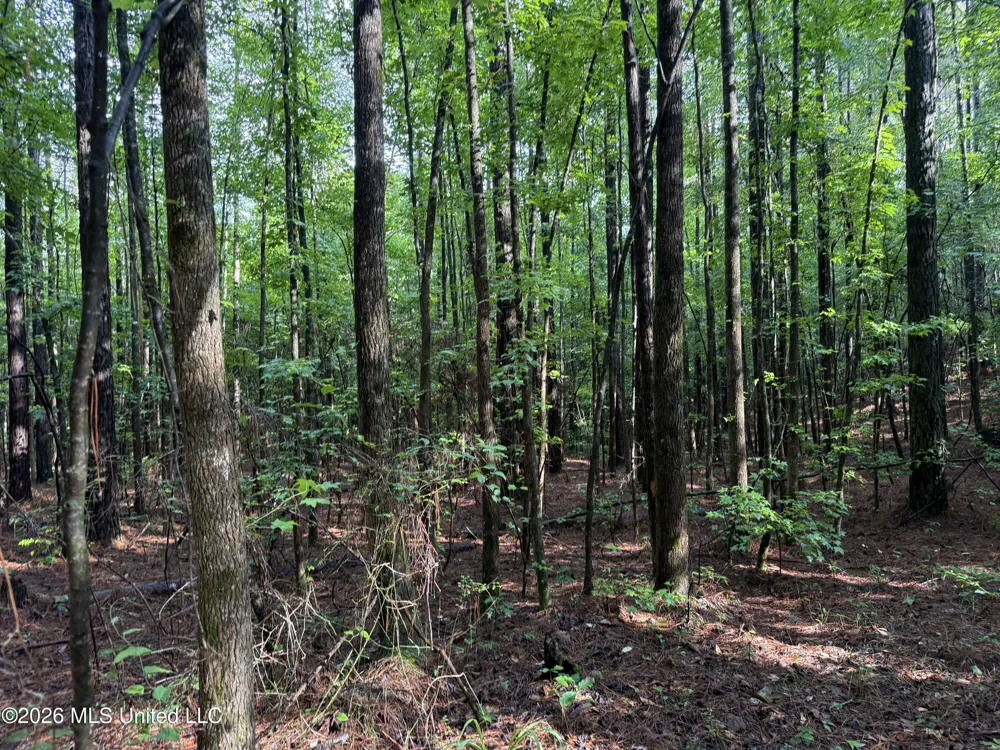 Co Rd 2136 McCool, MS 39108
