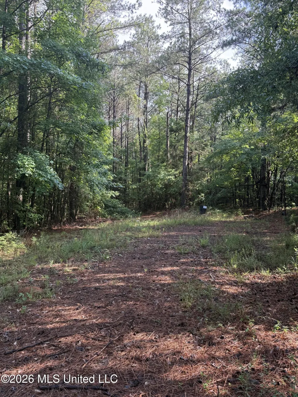 Co Rd 2136 McCool, MS 39108