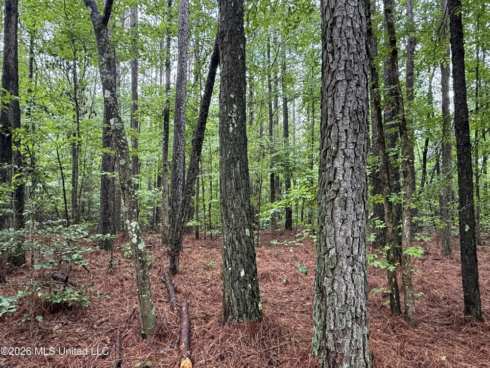 Co Rd 2136 McCool, MS 39108