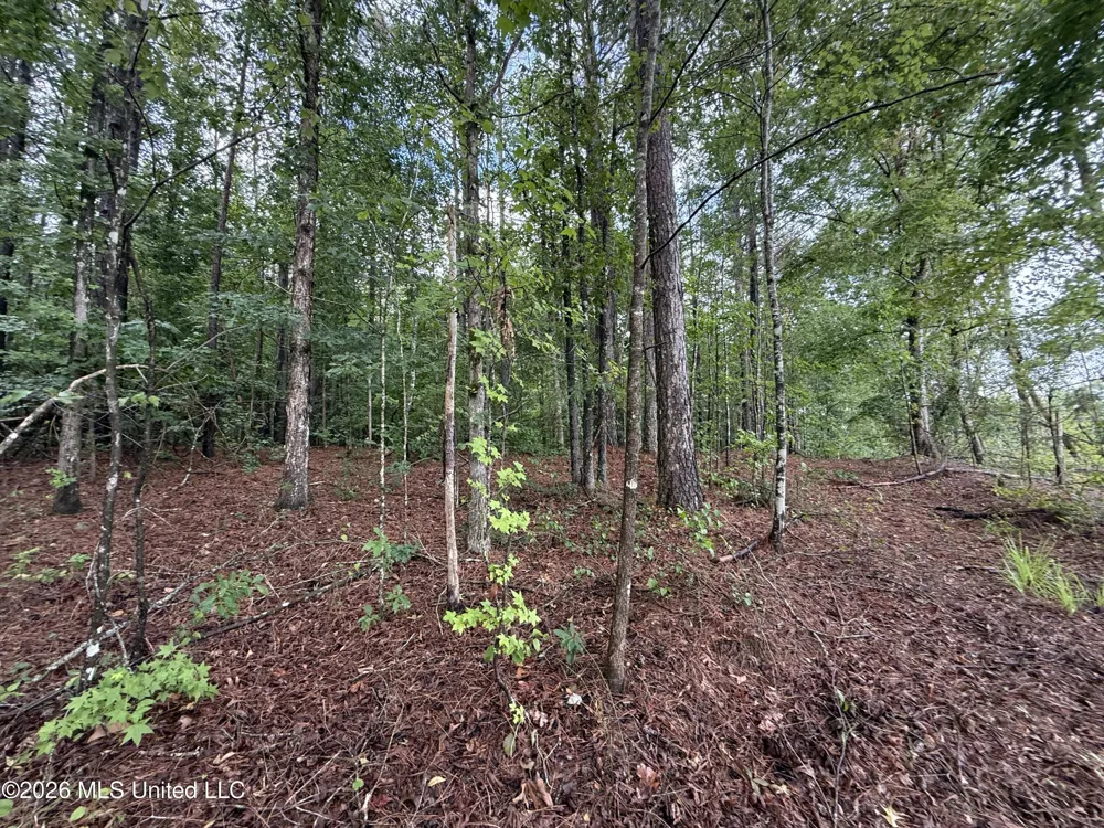 Co Rd 2136 McCool, MS 39108