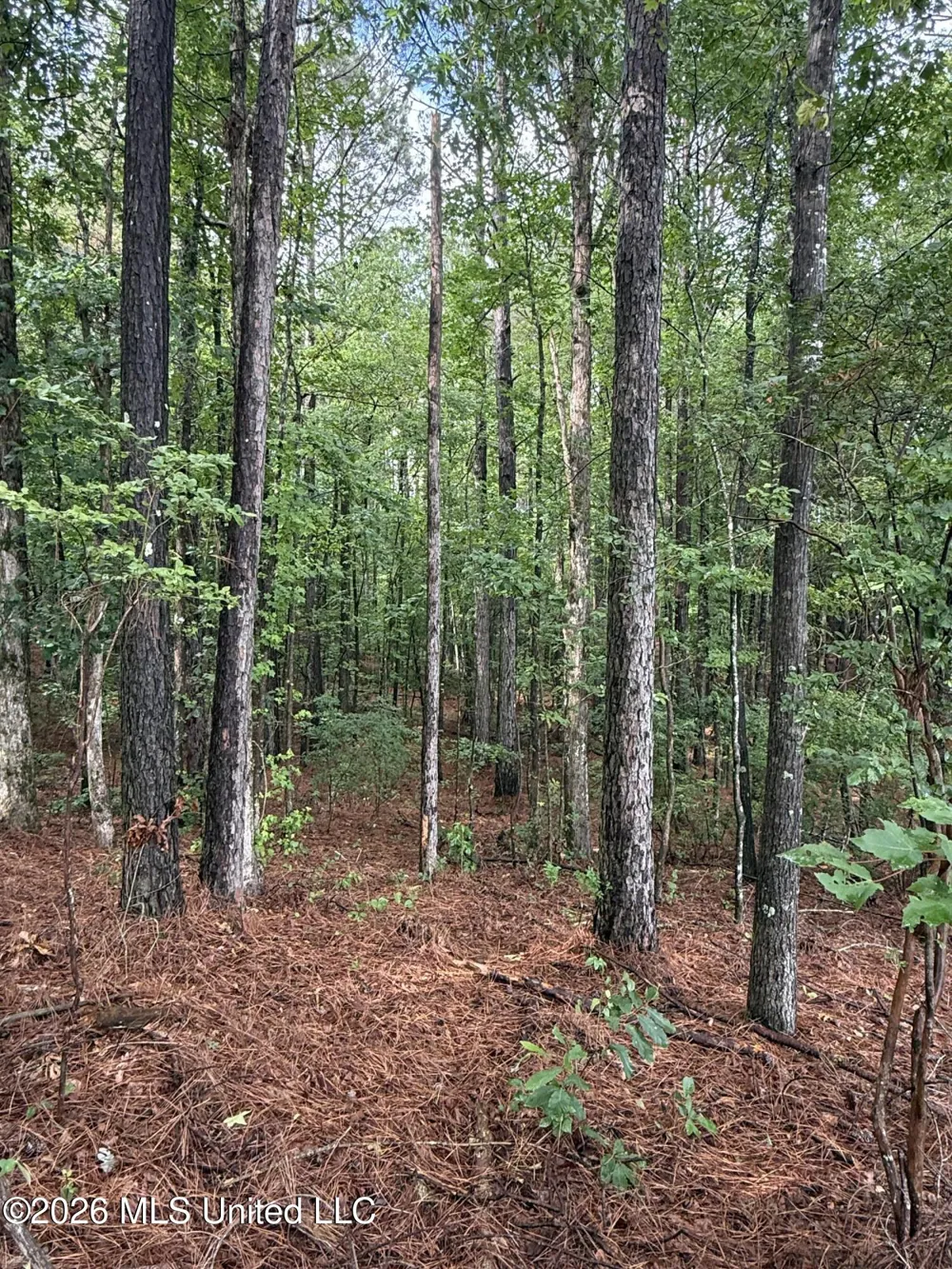 Co Rd 2136 McCool, MS 39108
