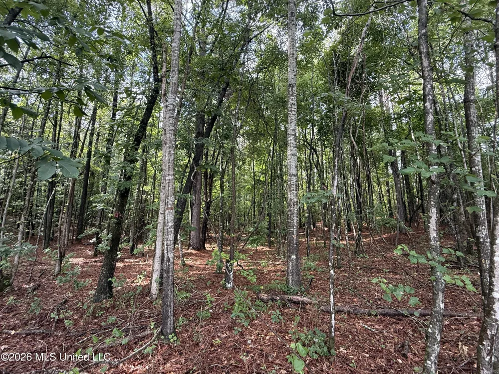 Co Rd 2136 McCool, MS 39108