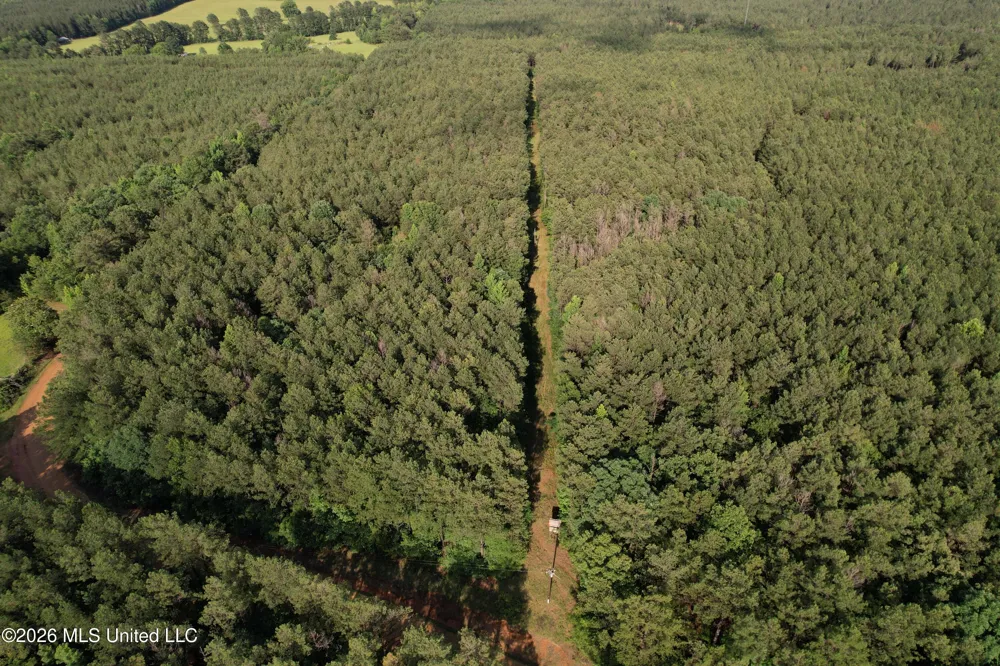 Co Rd 2136 McCool, MS 39108