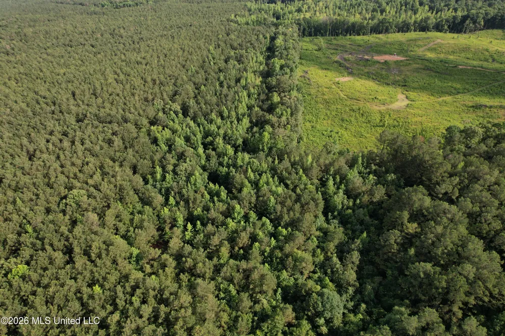 Co Rd 2136 McCool, MS 39108