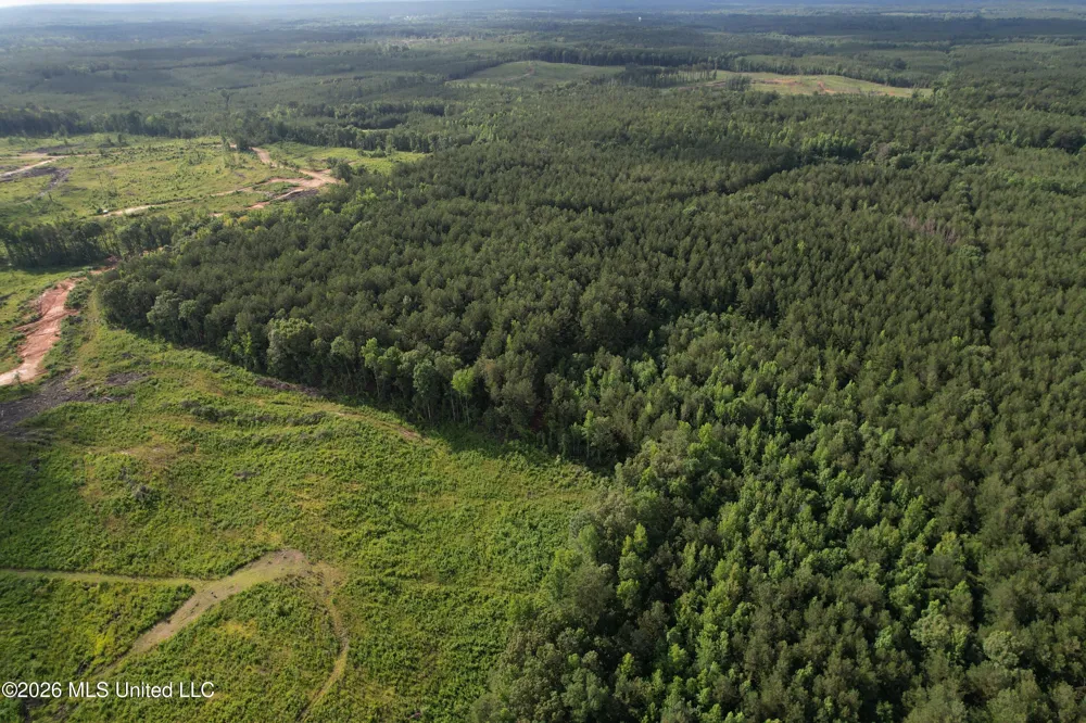 Co Rd 2136 McCool, MS 39108