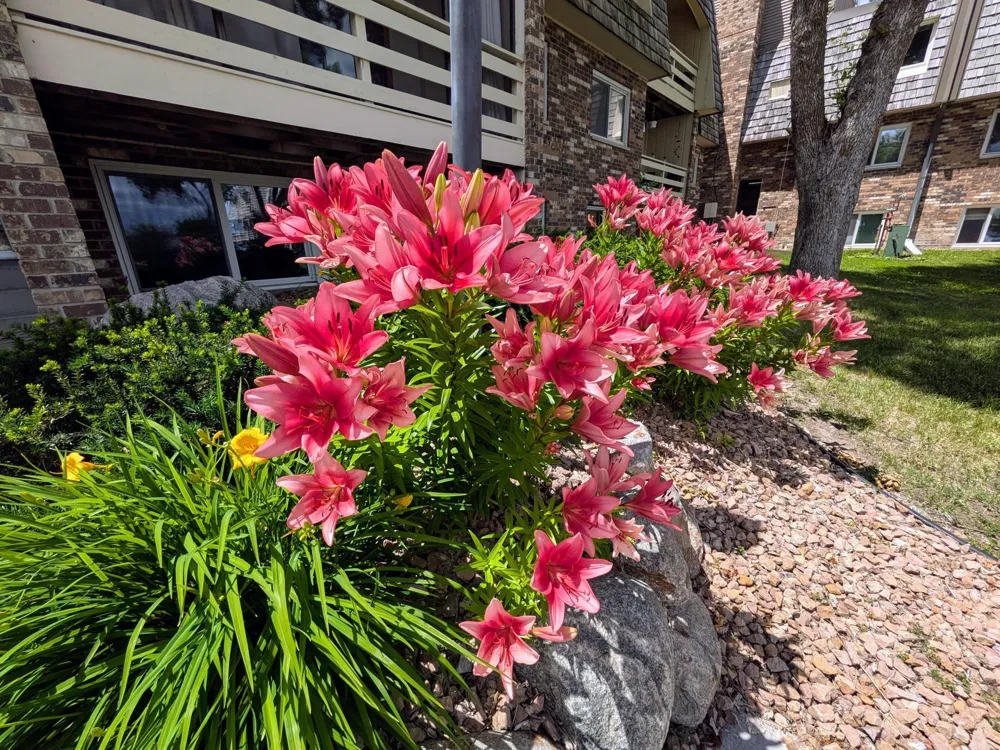 4387 Wilshire Boulevard #106 Mound, MN 55364