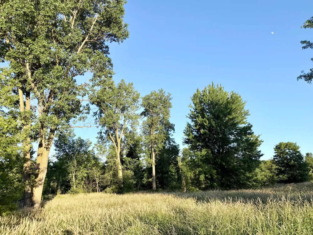 8375 S Stony Lake Road Jackson, MI 49201