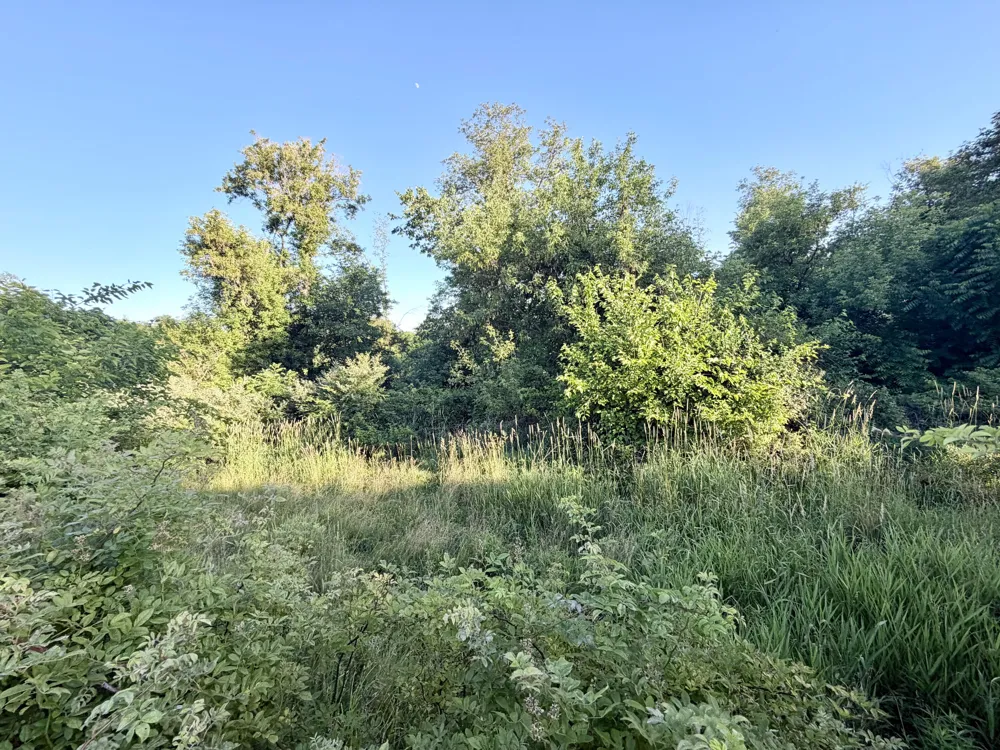 8375 S Stony Lake Road Jackson, MI 49201