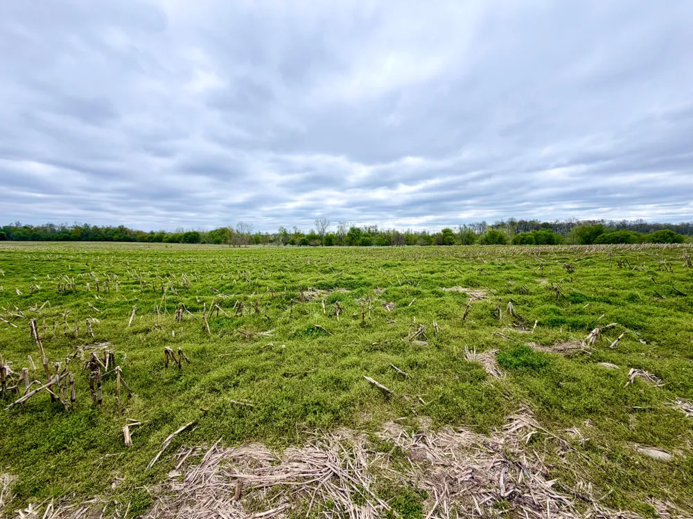 8375 S Stony Lake Road Jackson, MI 49201
