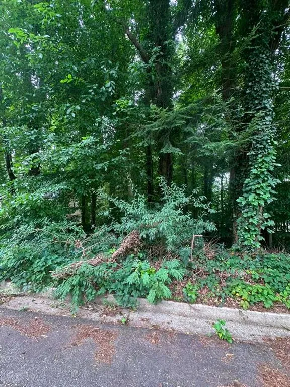 721 Aberdeen Drive Stone Mountain, GA 30083