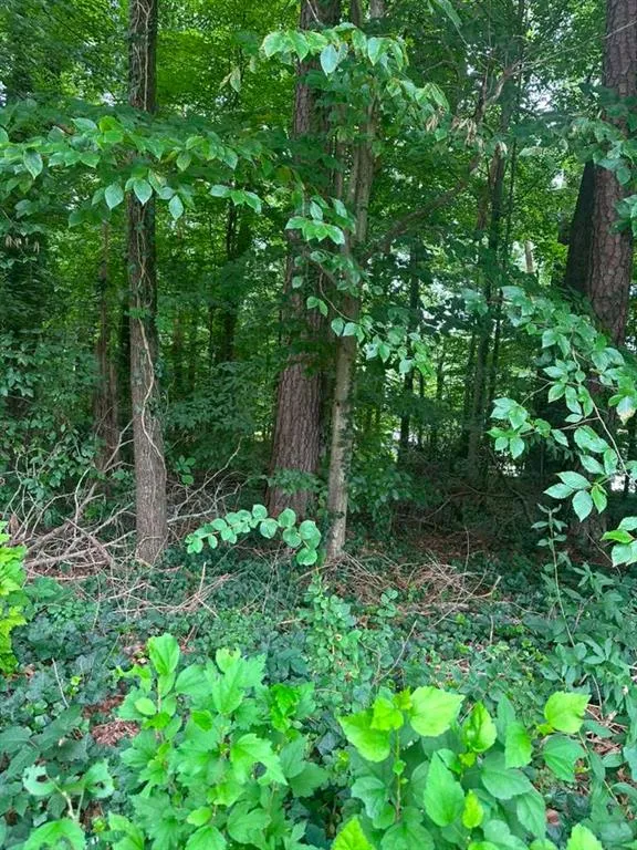 721 Aberdeen Drive Stone Mountain, GA 30083