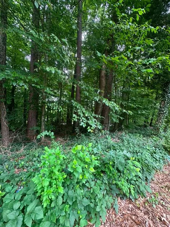 721 Aberdeen Drive Stone Mountain, GA 30083