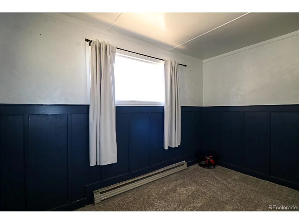 731 Midland Court Lake George, CO 80827