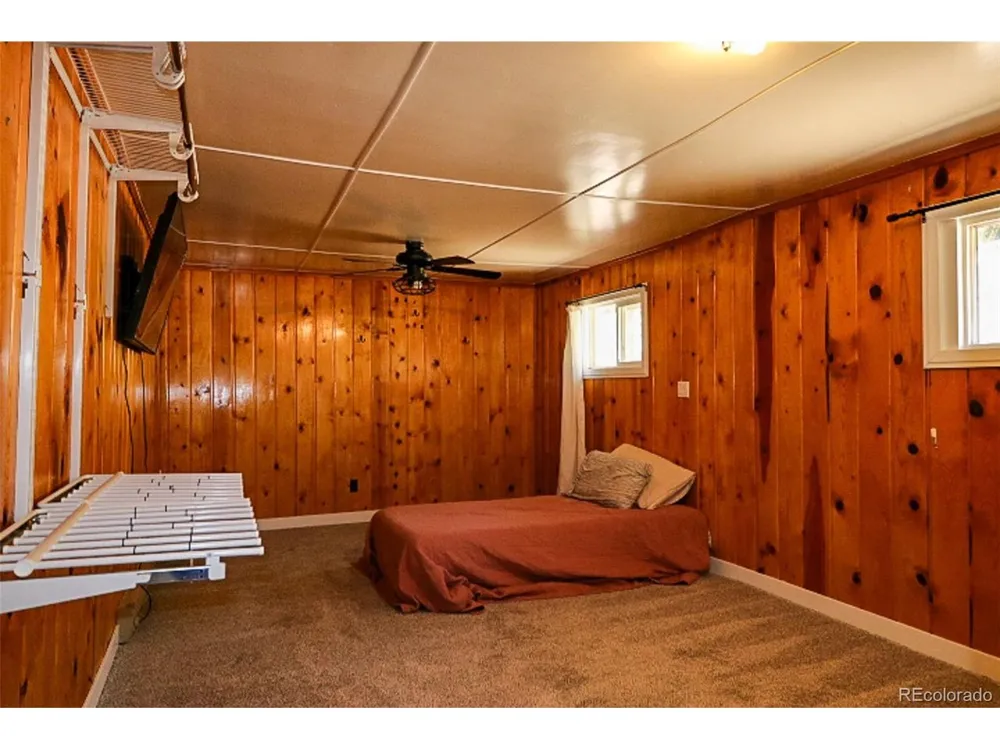731 Midland Court Lake George, CO 80827