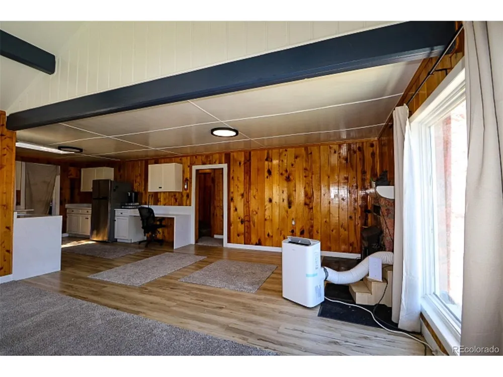 731 Midland Court Lake George, CO 80827