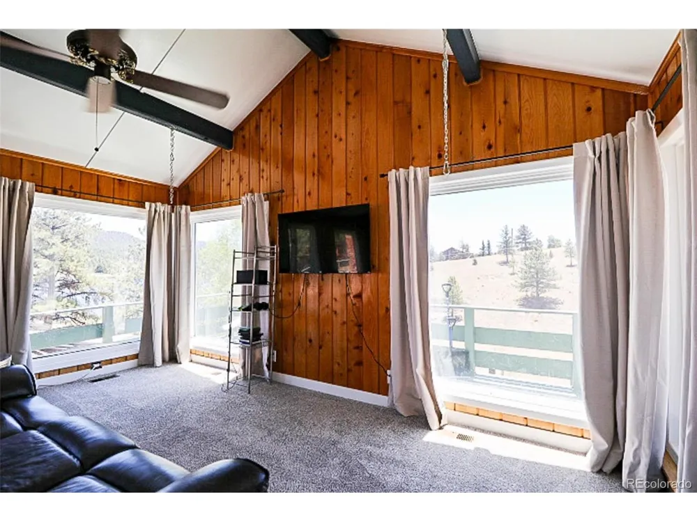 731 Midland Court Lake George, CO 80827