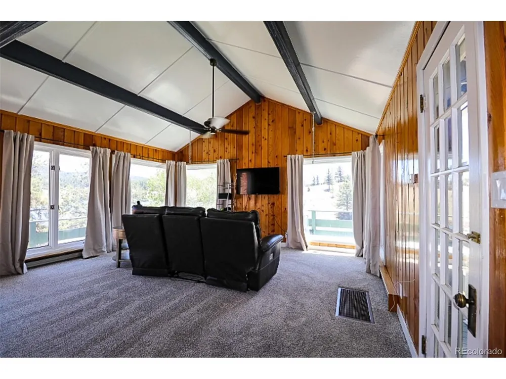 731 Midland Court Lake George, CO 80827