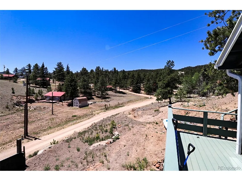 731 Midland Court Lake George, CO 80827