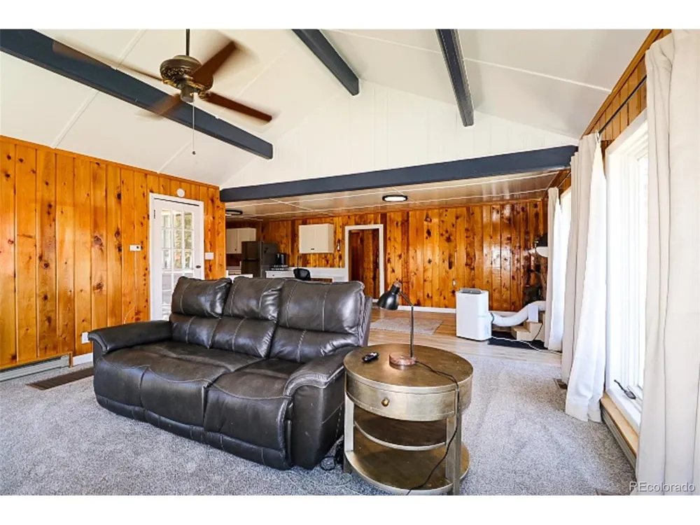731 Midland Court Lake George, CO 80827
